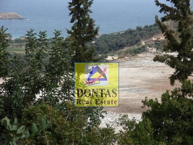 Land in Milopotamos, Greece 3 - 16155708
