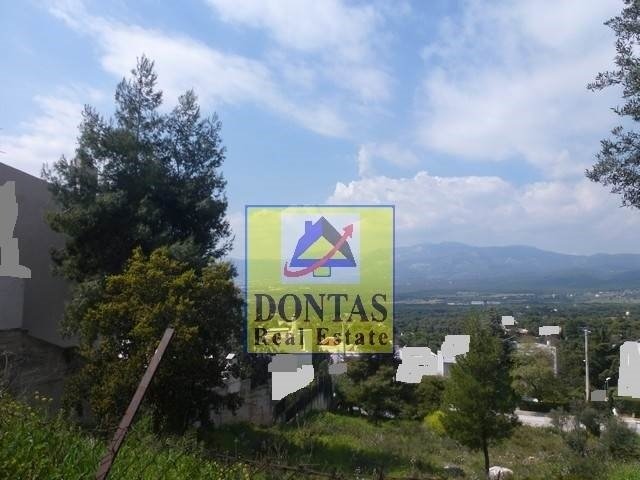 Land in Dionysos, Attica, Greece 1 - 16155702