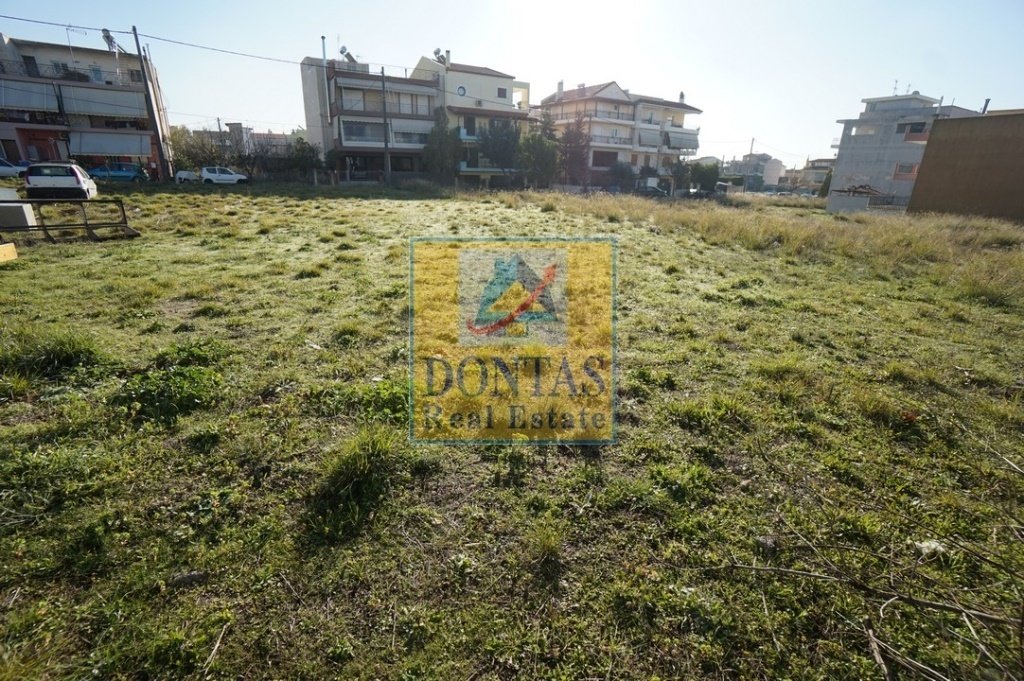 Land in Acharnes, Attica, Greece 1 - 16155458