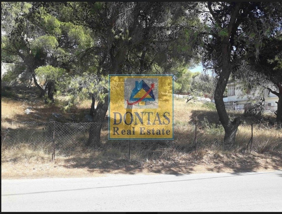 Land in Nea Penteli, Attica, Greece 1 - 16155546