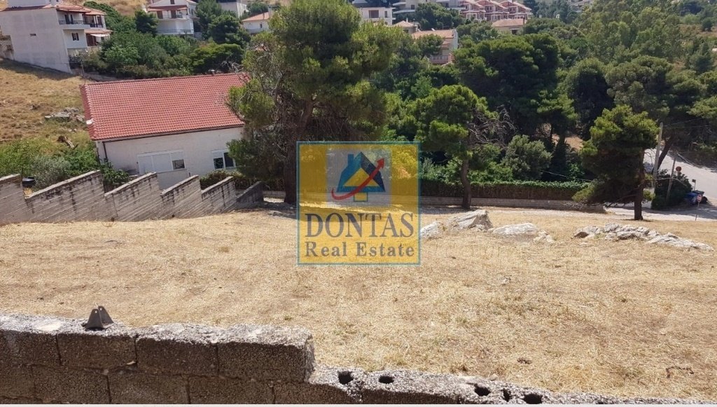 Land in Penteli, Attica, Greece 3 - 16155950