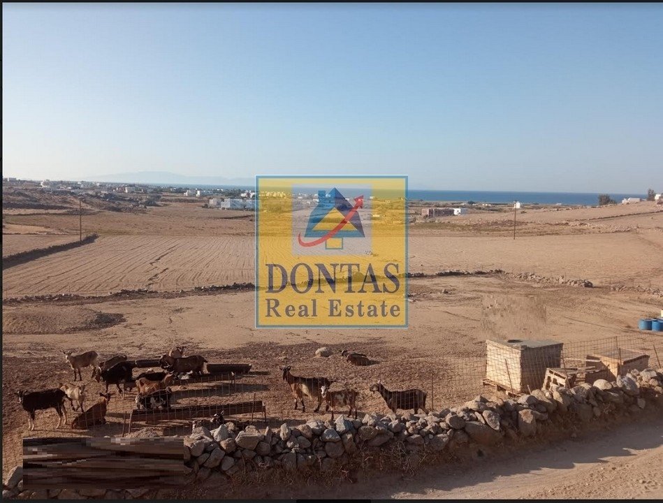 Land in Naxos, Aegean, Greece 1 - 16155465