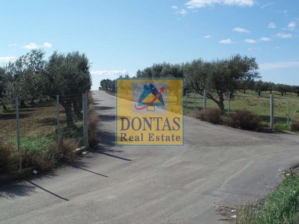 Land in Community of Antirrio, Antirrio, Greece 5 - 16155694