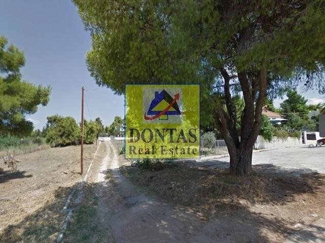 Land in Melissia, Attica, Greece 1 - 16155586