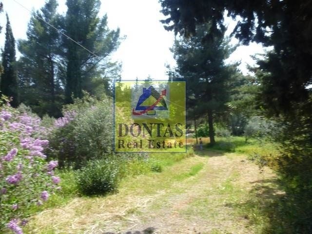 Land in Ekali, Attica, Greece 4 - 16155556