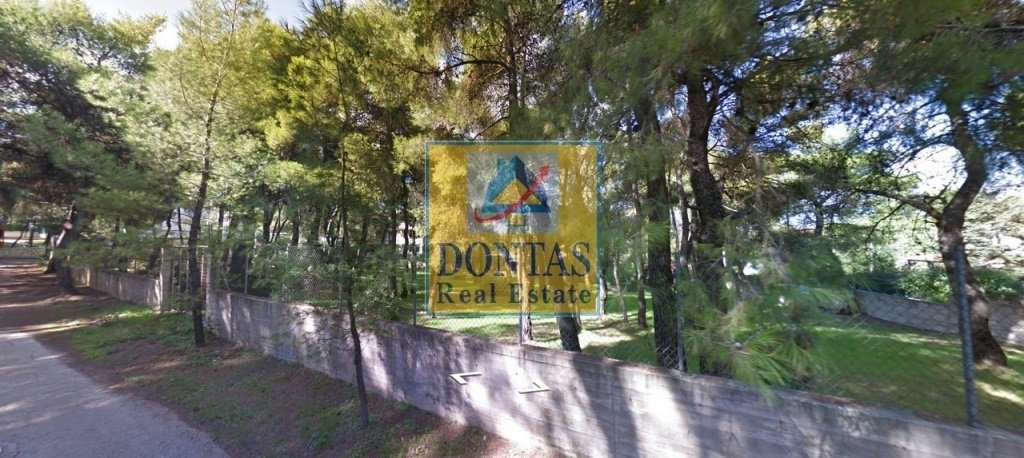 Land in Dionysos, Attica, Greece 4 - 16155476