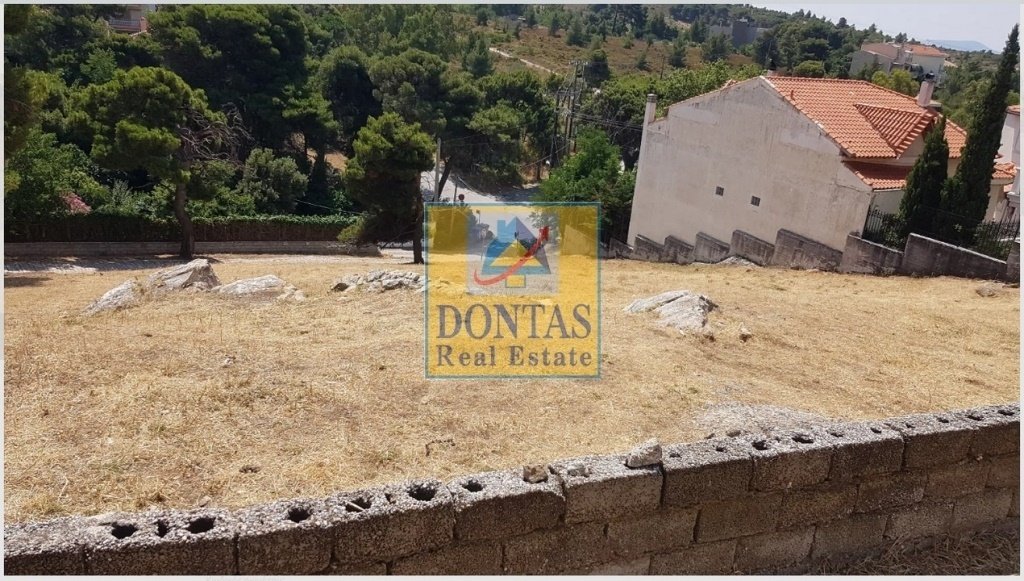Land in Penteli, Attica, Greece 4 - 16155950