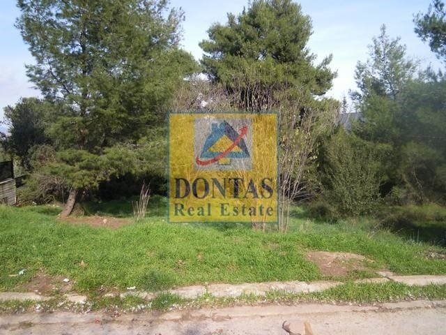 Land in Dionysos, Attica, Greece 2 - 16155541