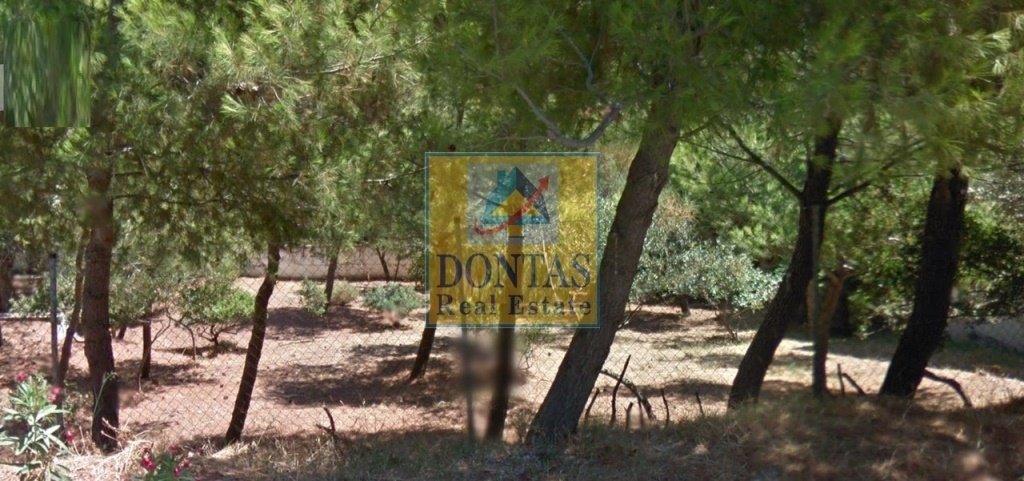 Land in Penteli, Attica, Greece 3 - 16155449
