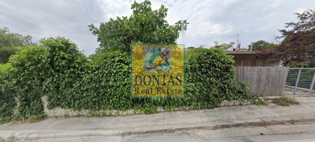 Land in Penteli, Attica, Greece 2 - 16155673