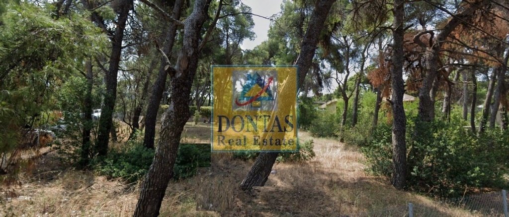 Land in Ekali, Attica, Greece 4 - 16155925