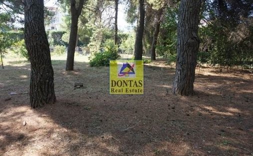 Land in Dionysos, Attica, Greece 1