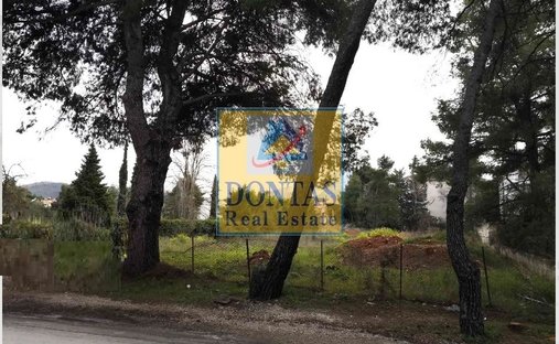 Land in Dionysos, Attica, Greece 1