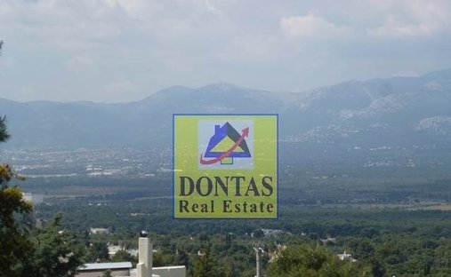 Terrain à Ekali, Attique, Grèce 1