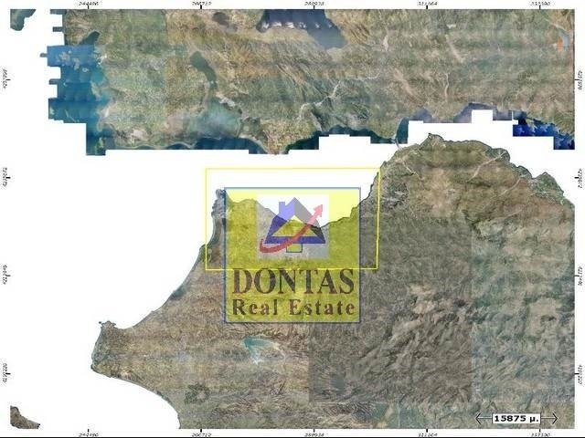 Land in Lakkopetras, Larissos, Peloponnese, Western Greece and the Ionian 4 - 16155612