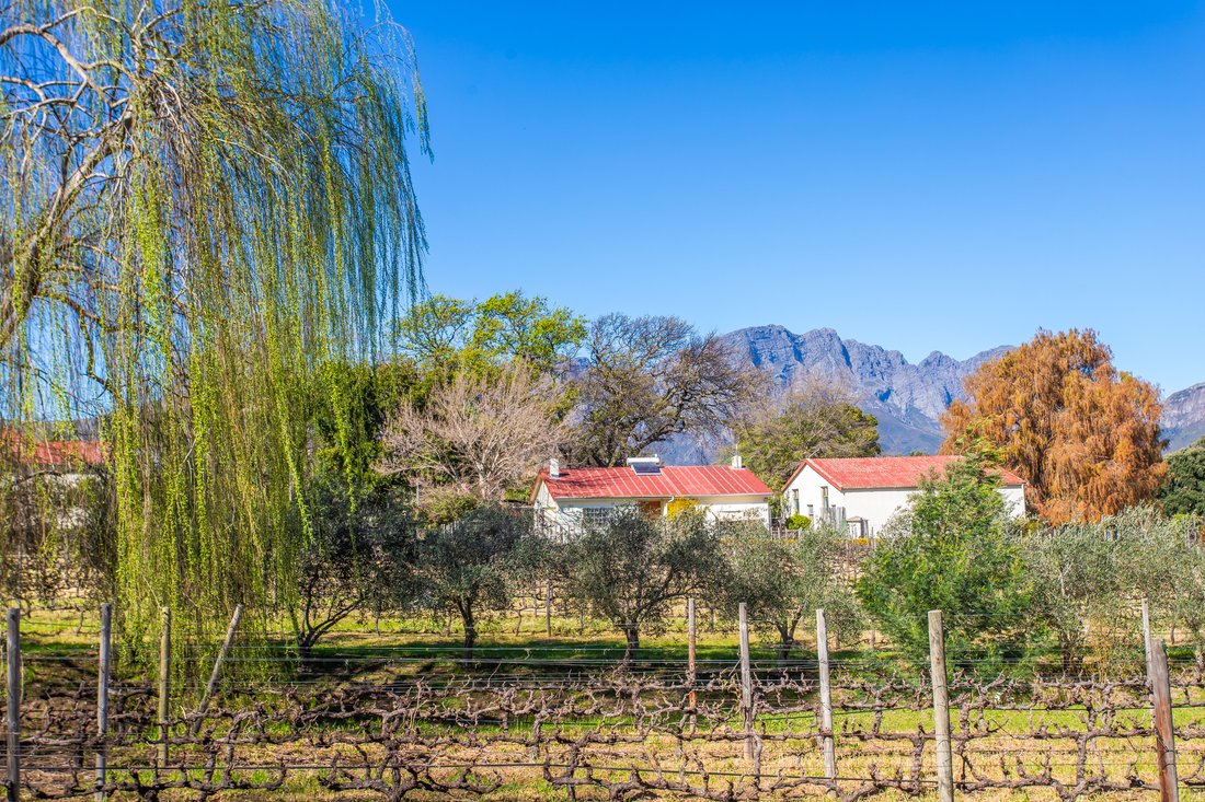 Estate in Franschhoek, Western Cape, South Africa 2 - 16152202