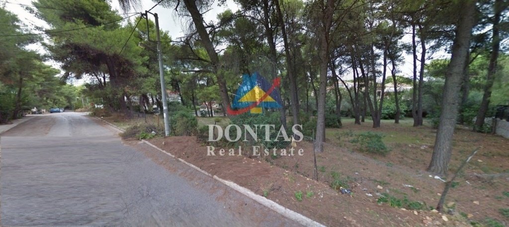 Land in Ekali, Attica, Greece 3 - 16156079