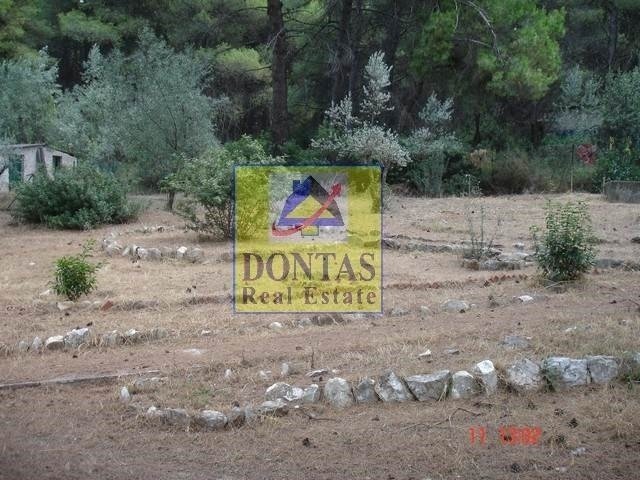 Land in Ekali, Attica, Greece 2 - 16155556