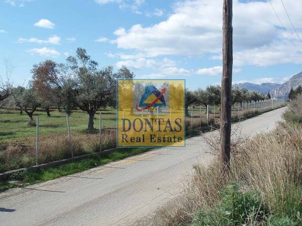 Land in Community of Antirrio, Antirrio, Greece 3 - 16155694