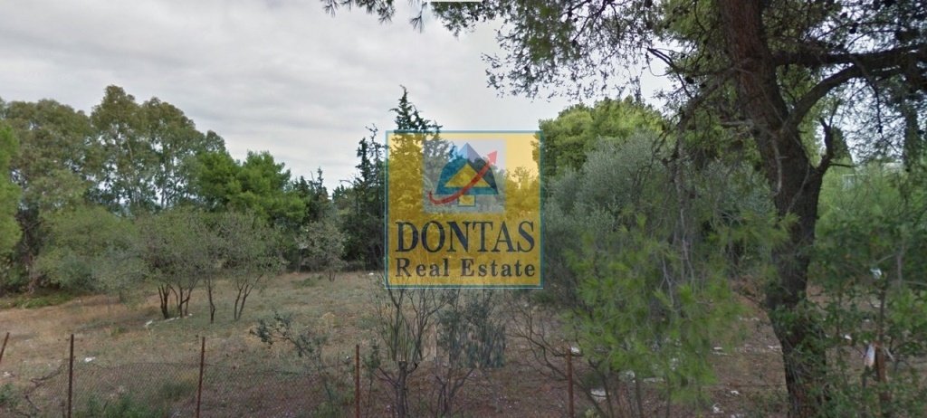 Land in Ekali, Attica, Greece 2 - 16155518