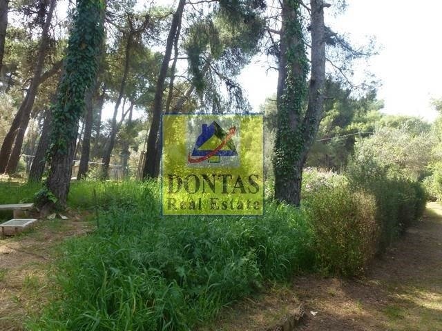 Land in Ekali, Attica, Greece 1 - 16155556