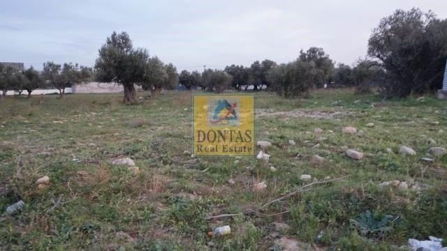 Land in Acharnes, Attica, Greece 2 - 16155940