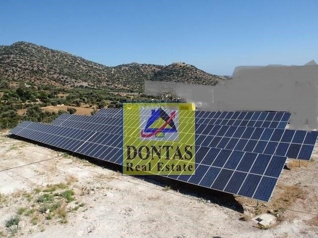 Land in Milopotamos, Greece 4 - 16155708