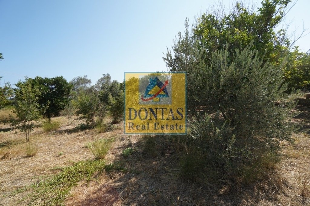 Land in Apokoronas, Greece 2 - 16155709