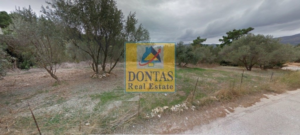 Land in Chios, Aegean, Greece 2 - 16155482