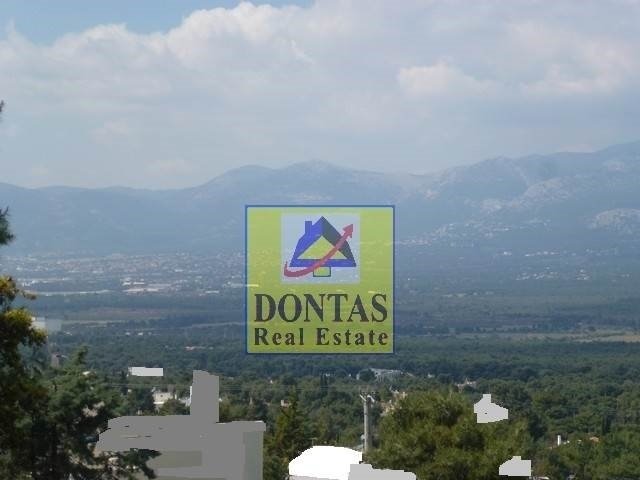 Land in Dionysos, Attica, Greece 4 - 16155702
