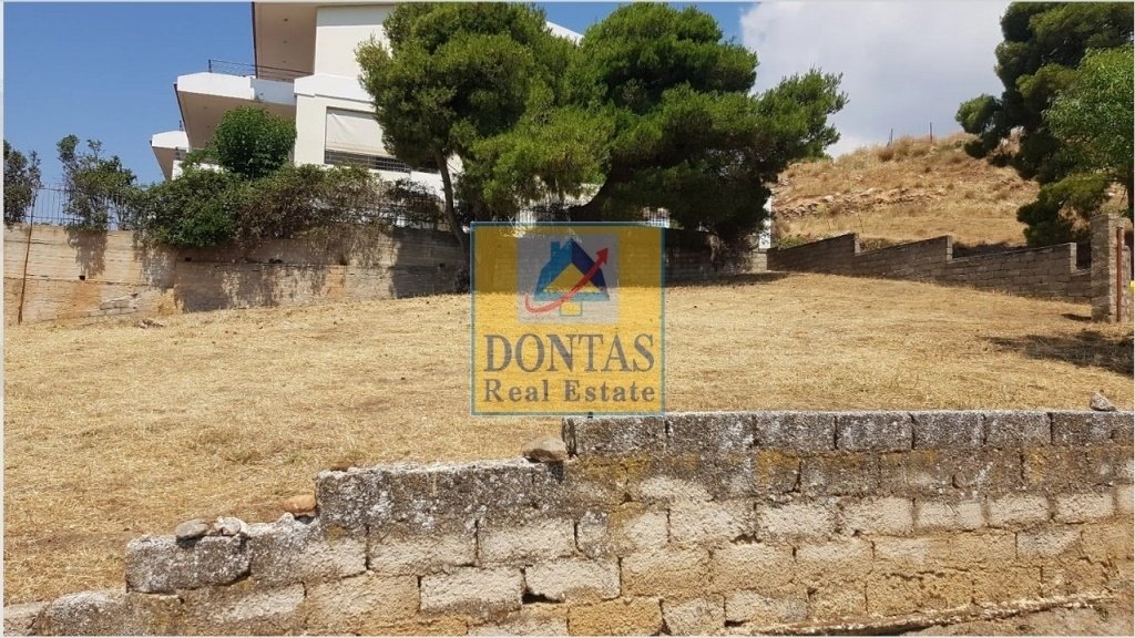 Land in Penteli, Attica, Greece 5 - 16155950