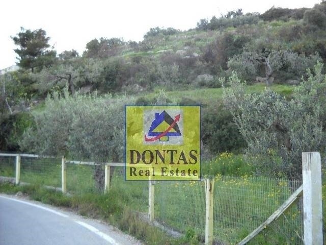 Land in Spetses, Attika, Griechenland 3 - 16155617