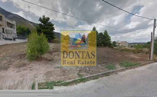 Land in Dionysos, Attica, Greece 1