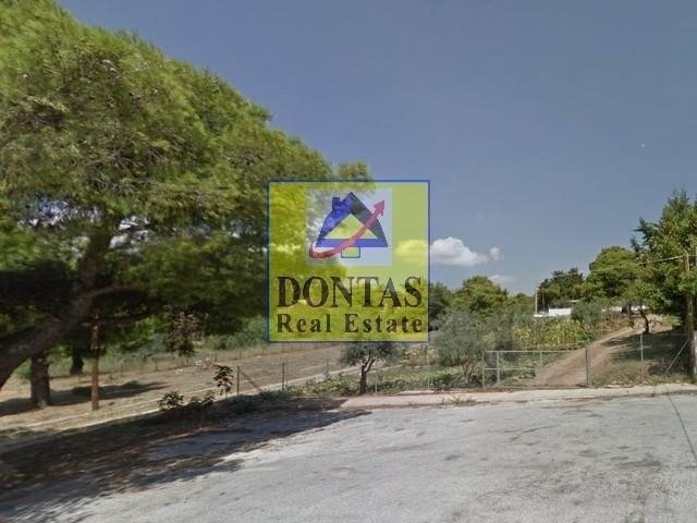 Land in Melissia, Attica, Greece 2 - 16155586
