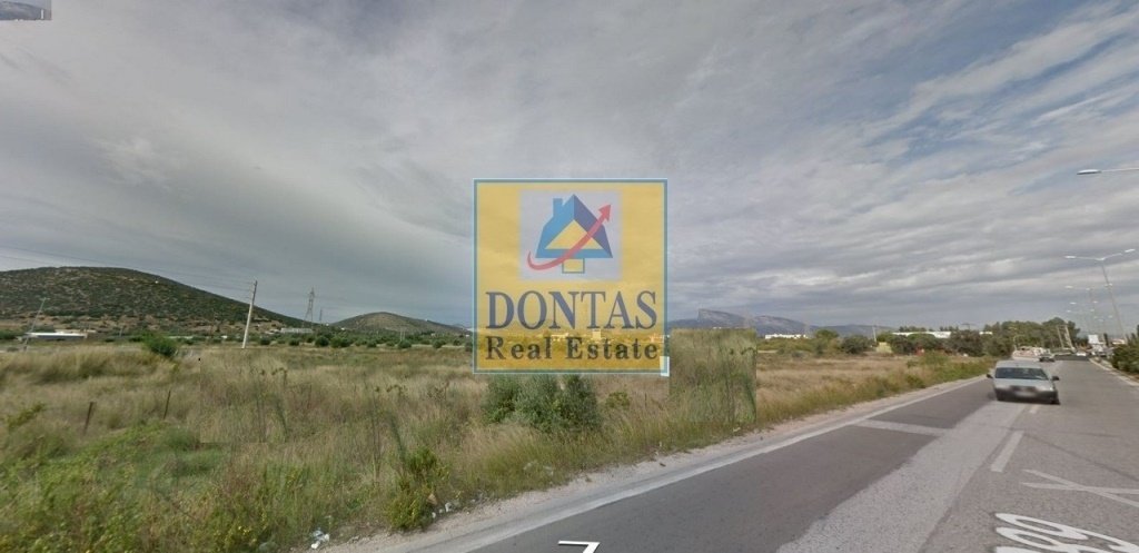 Land in Markopoulo Mesogaias, Attica, Greece 5 - 16155607