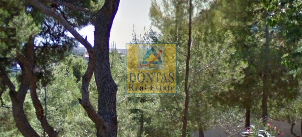 Land in Penteli, Attica, Greece 4 - 16155449