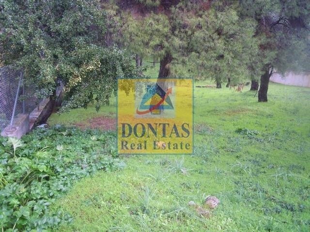 Land in Ekali, Attica, Greece 5 - 16155604