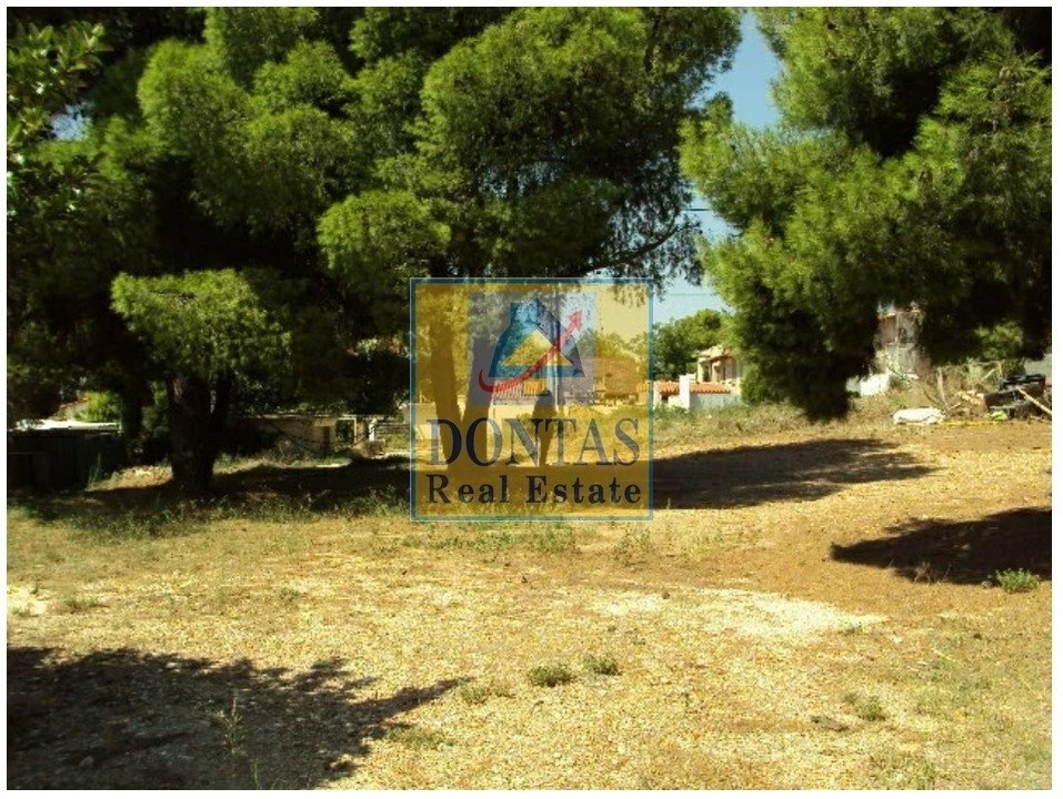 Land in Melissia, Attica, Greece 1 - 16155733