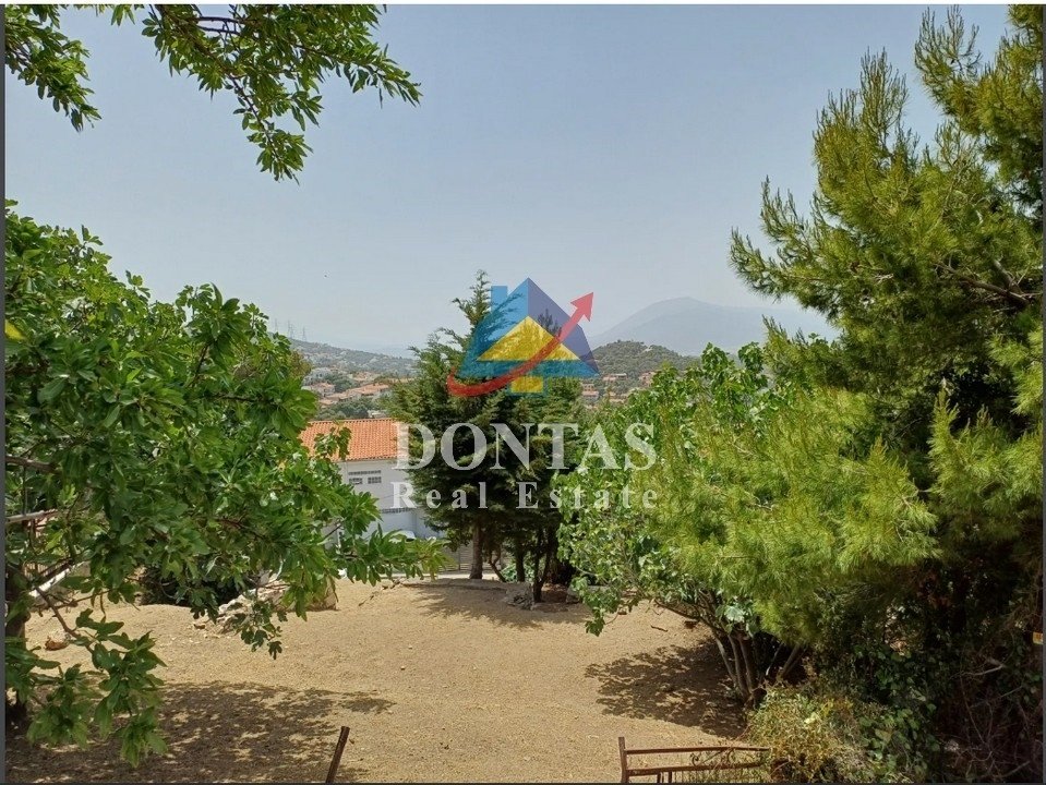 Land in Nea Penteli, Attica, Greece 4 - 16155978