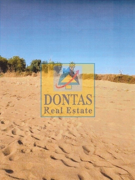 Land in Amaliada, Peloponnese, Western Greece and the Ionian, Greece 4 - 16156032
