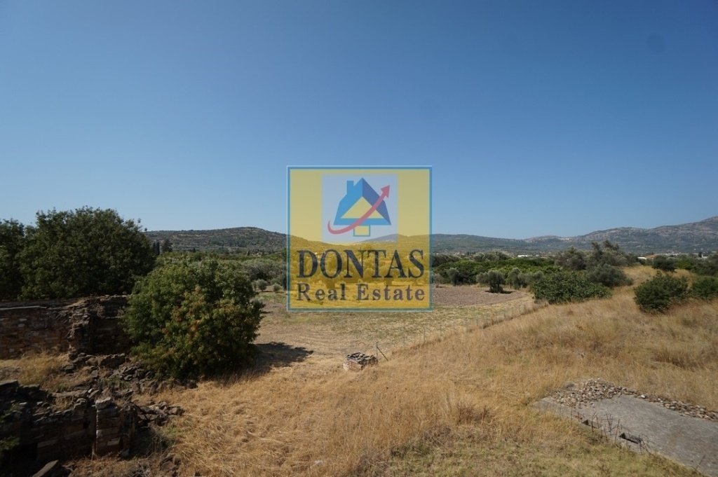 Land in Lakkopetras, Larissos, Peloponnese, Western Greece and the Ionian 1 - 16155650
