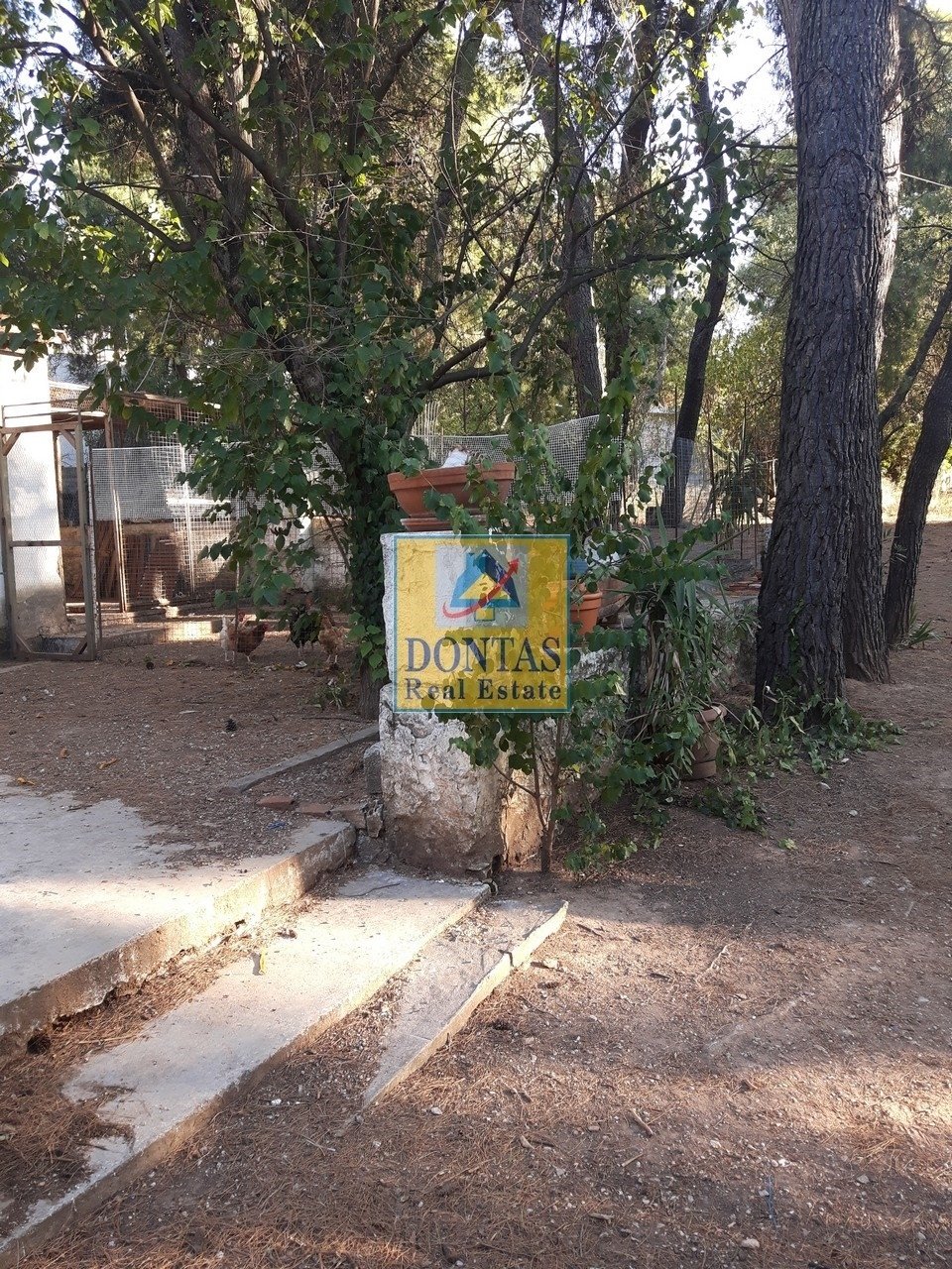 Land in Dionysos, Attica, Greece 1 - 16155475