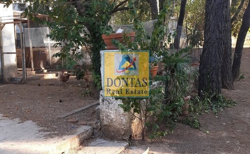 Land in Dionysos, Attica, Greece 1