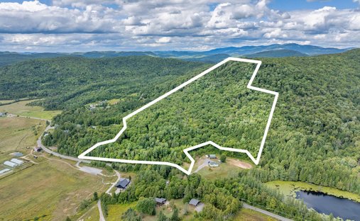 Terrain à Mont-Tremblant, Québec, Canada 1