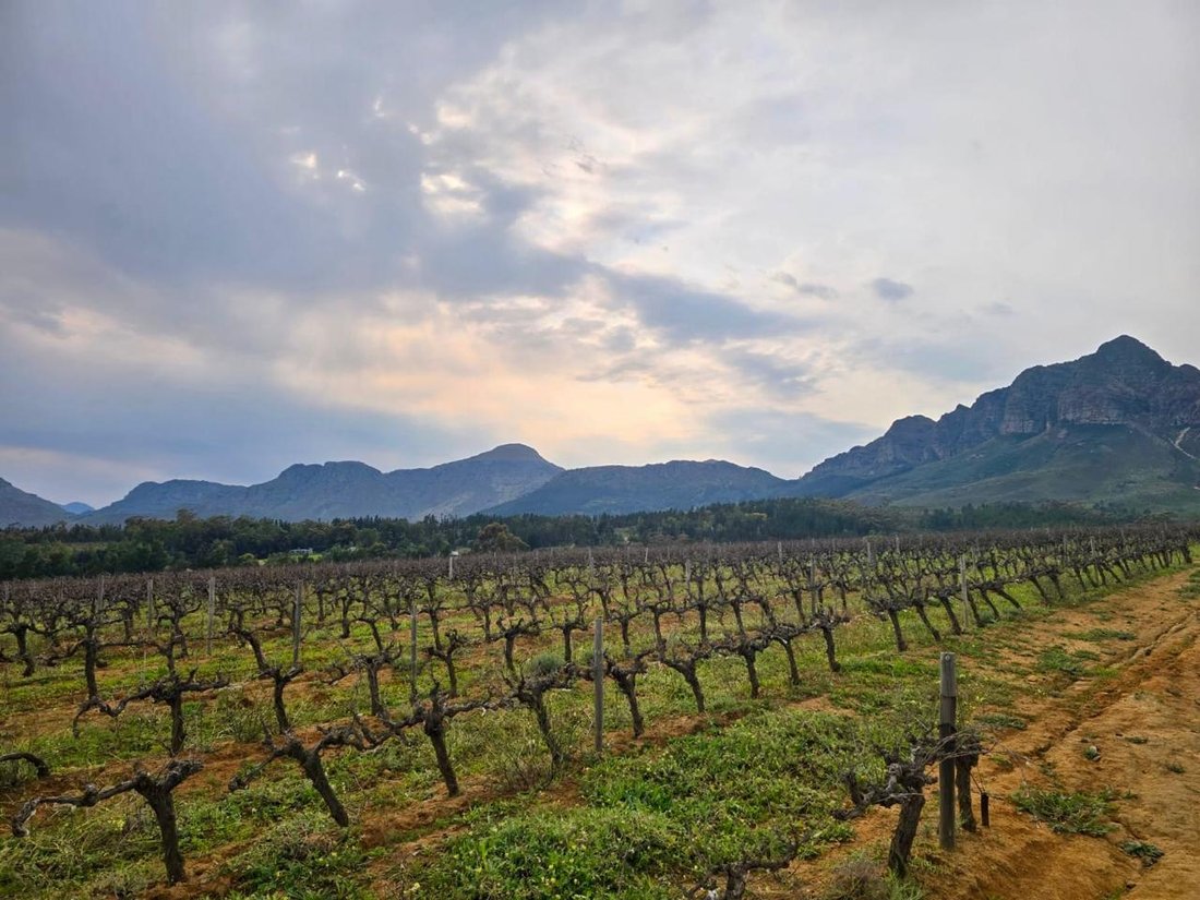 Farm Ranch in Wellington, Western Cape, South Africa 5 - 16152226
