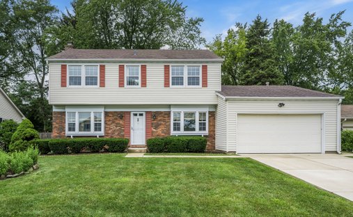Maison à Buffalo Grove, Illinois, États-Unis 1