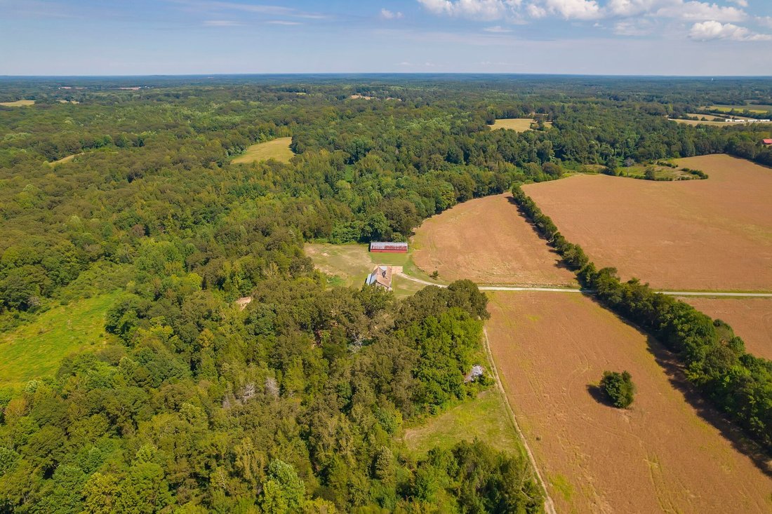 House in Cedar Grove, Tennessee, United States 3 - 16151419