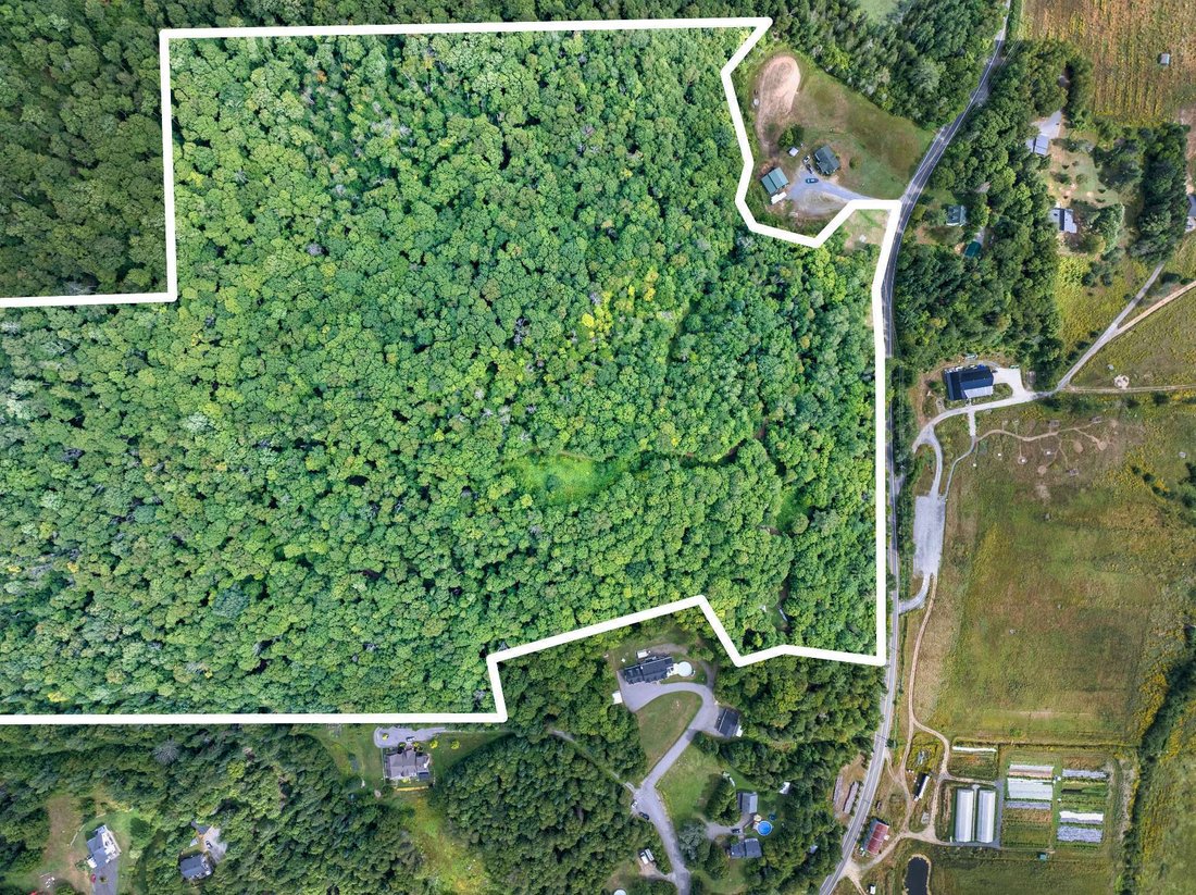 Land in Mont-Tremblant, Quebec, Canada 2 - 16154690