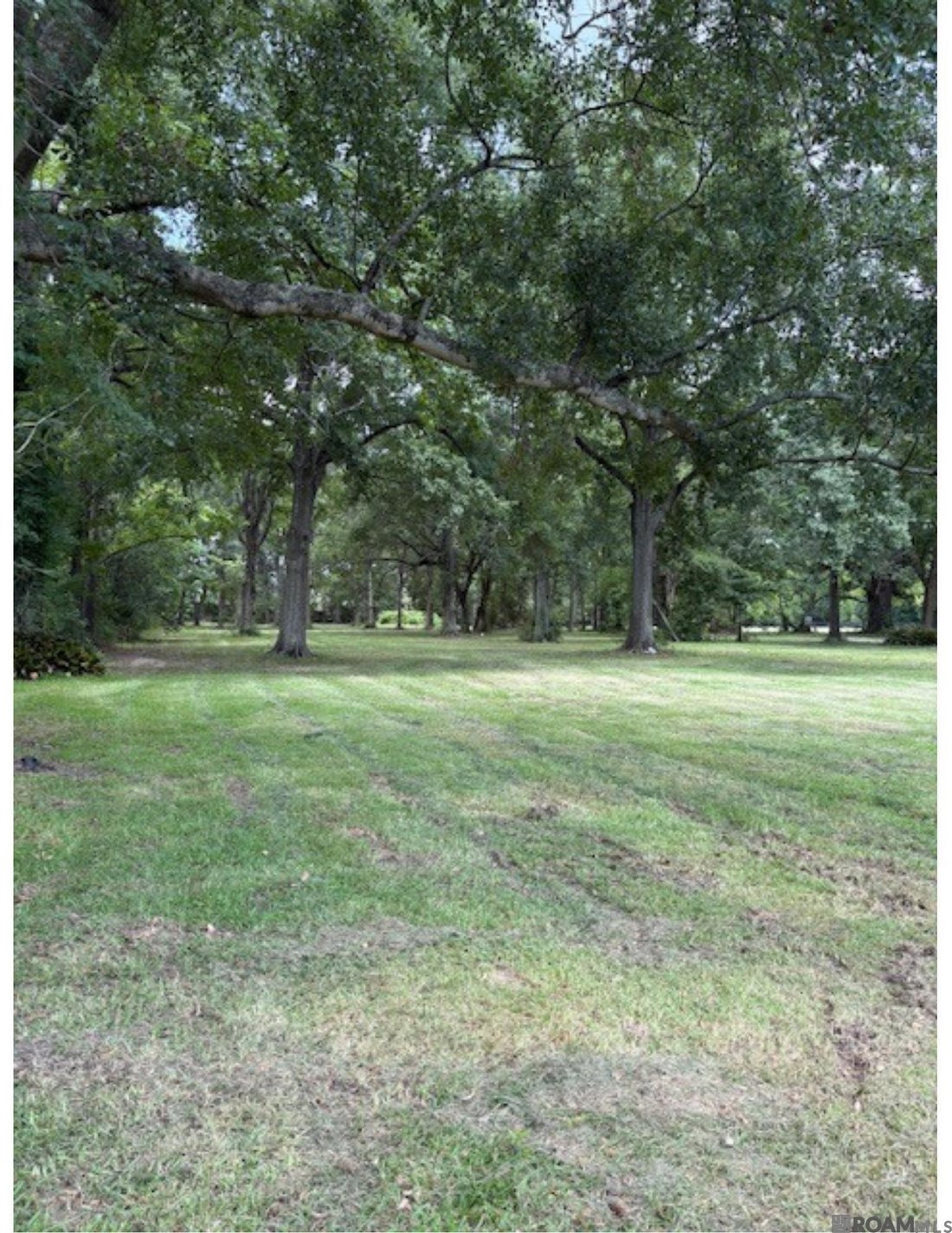 Land in Prairieville, Louisiana, United States 4 - 15824588