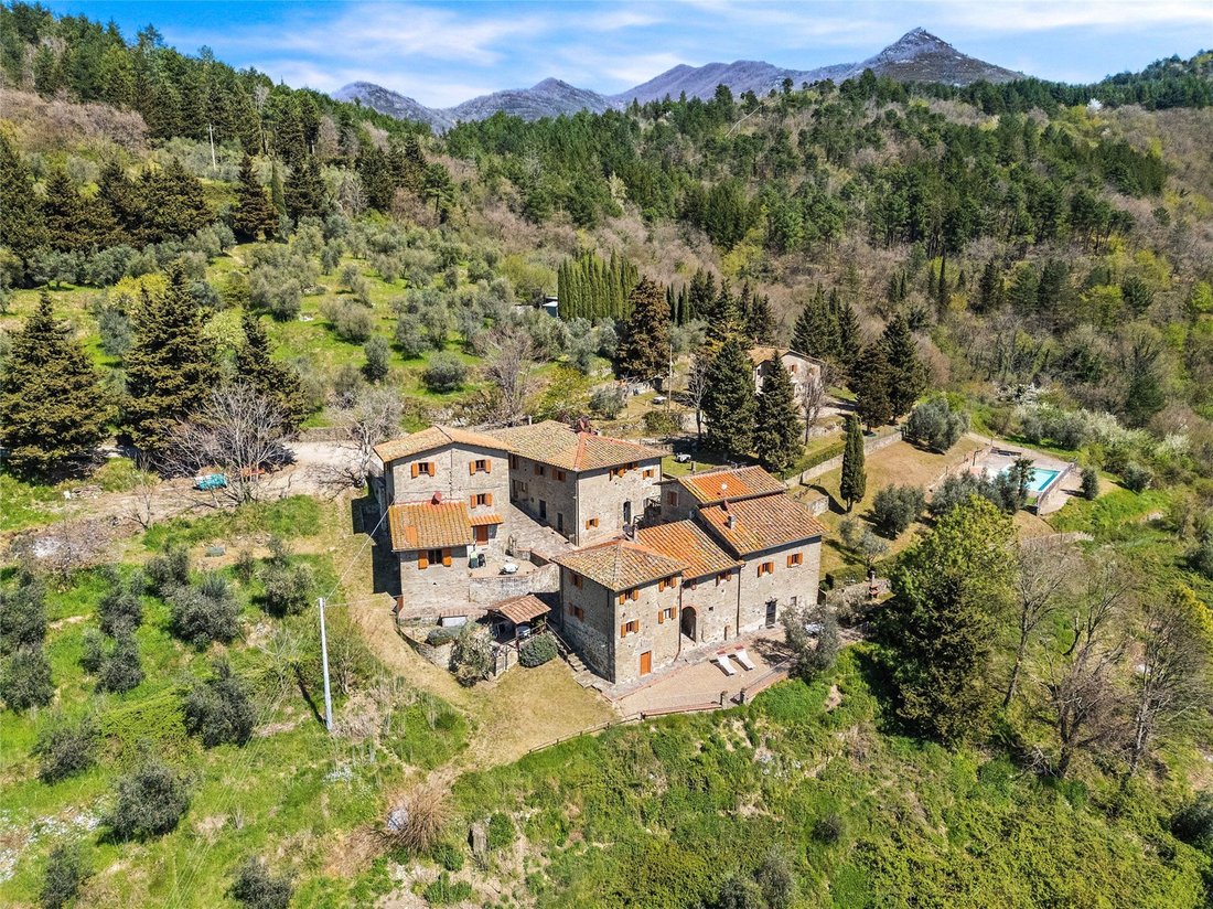 Country House in Vaggio - Canova - San Giovenale, Reggello, Tuscany 5 - 16151160